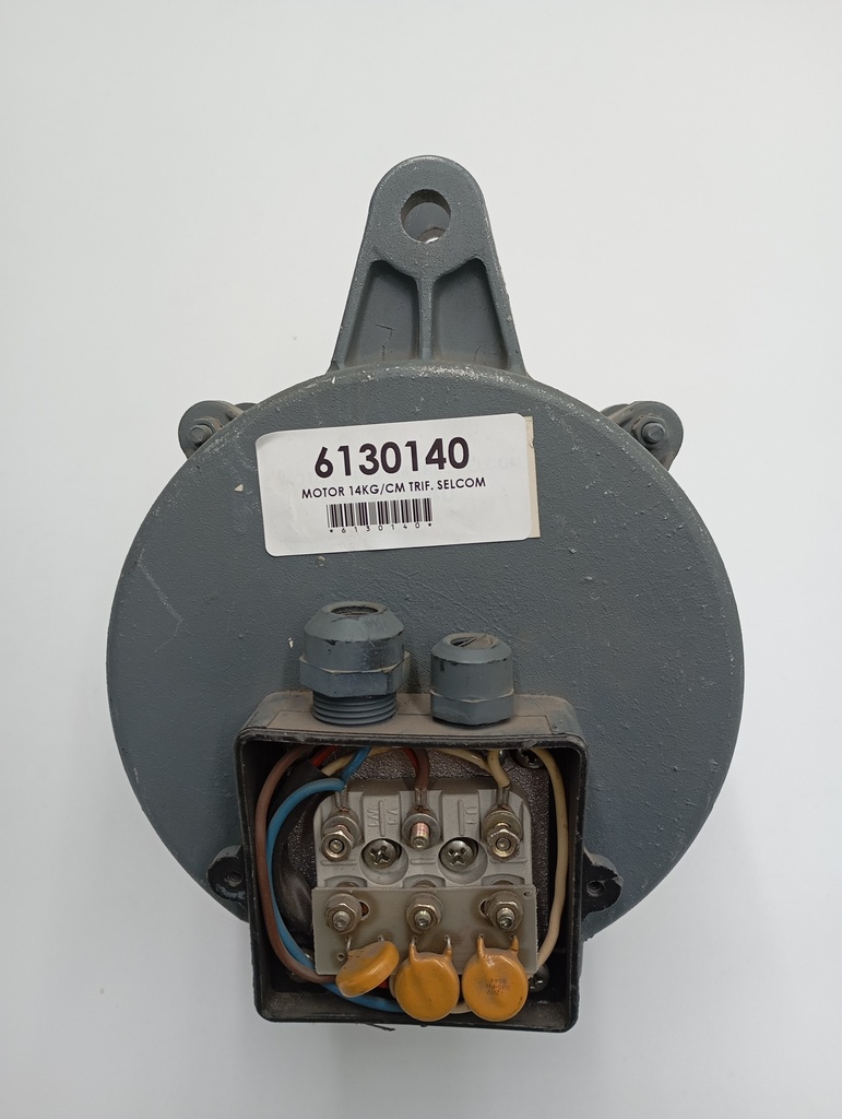MOTOR 14KG/CM TRIF. SELCOM   