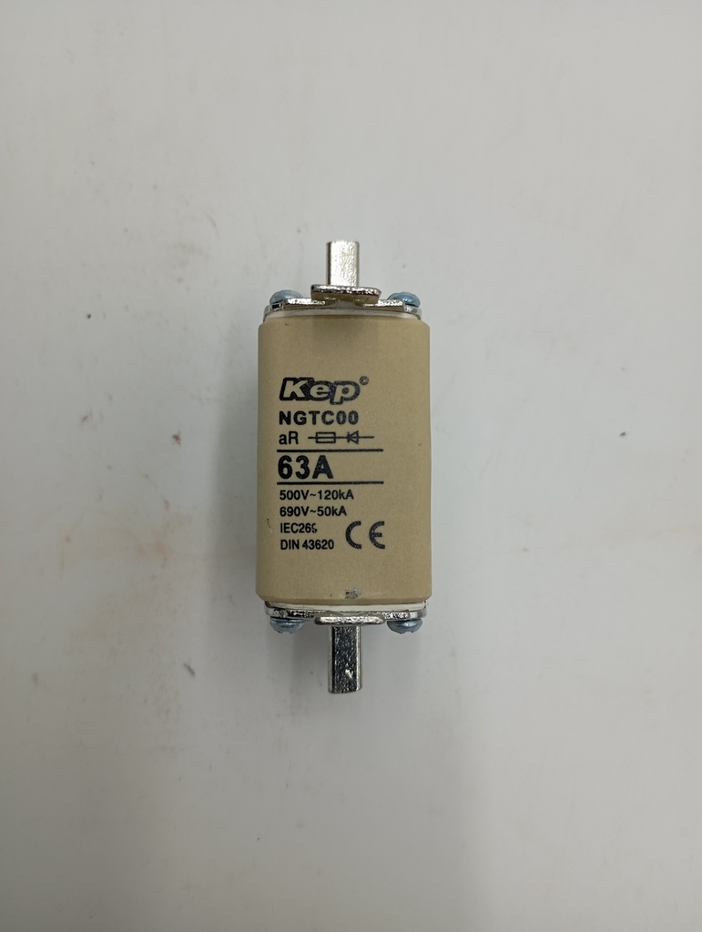 FUSIBLE NH00, 63A CURVA GC/GL, 660V 50KA   