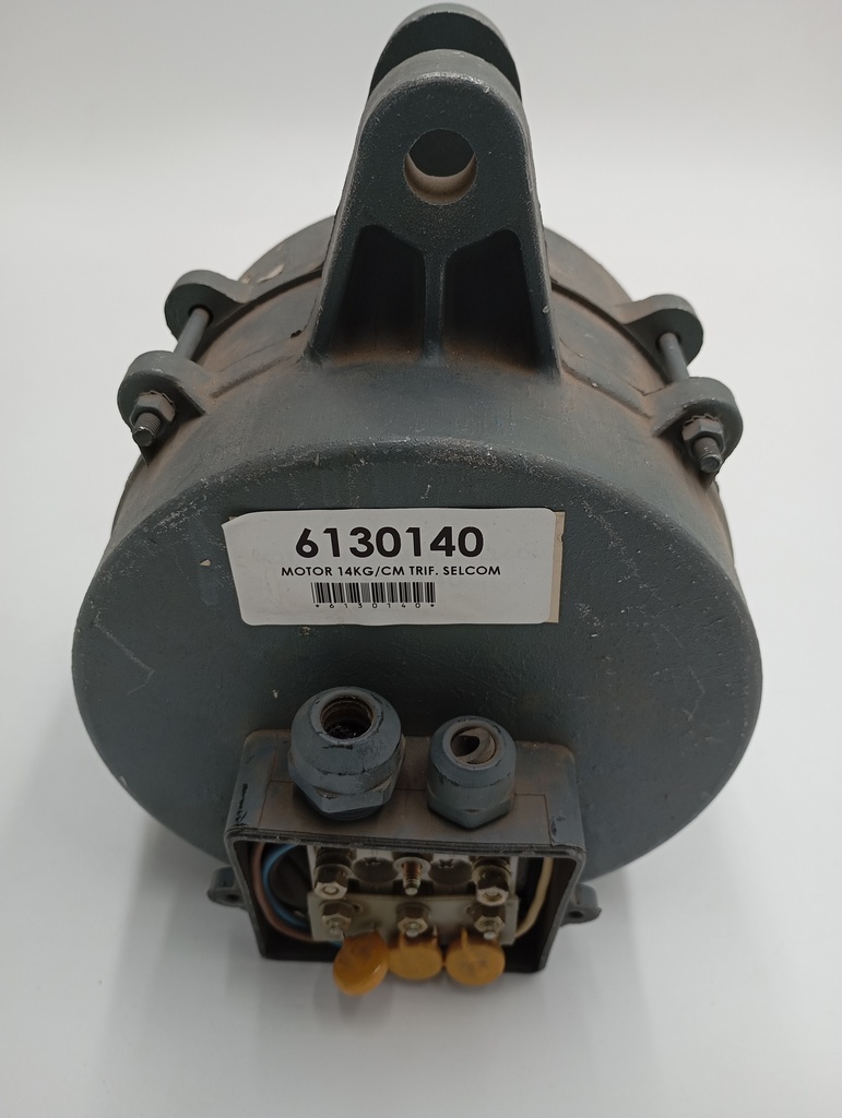 MOTOR 14KG/CM TRIF. SELCOM   