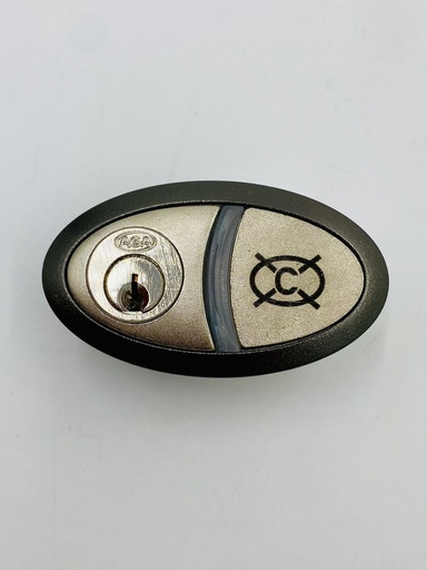 [8302257] CONJUNTO CONMUT. LLAVE ANUL.LLAMADA CABINA OR02   